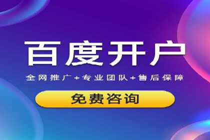 知名SEM运营公司实战案例解析
